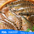 HL002 best quality packing fresh shrimp supply